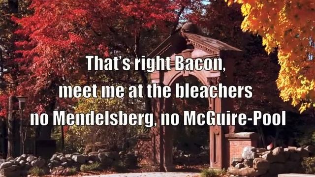 Meiosis (Hollaback Girl)