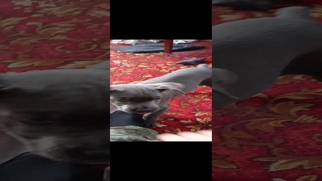 1000005240.mp4