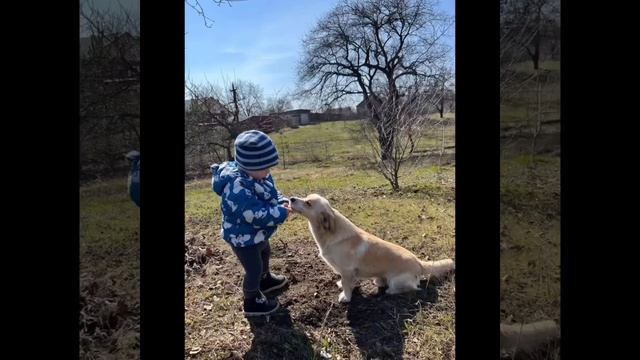 День домашних животных🐶 в группе "Курносики" Кравцова О. В. Тараненко О. К.👍