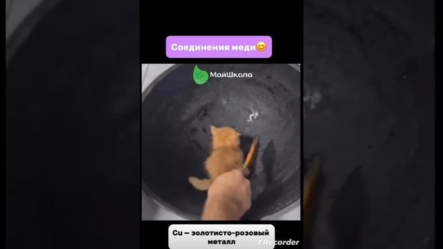 шеди ты тооооооооп