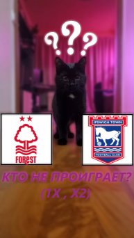 Прогноз на 13 тур АПЛ Ноттингем Ф - Ипсвич