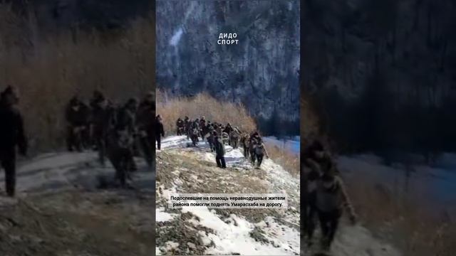 Трагедия в Цунтинском районе: ДТП унесло жизнь жителя села Шапих.