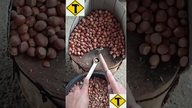 Тысяча альтернативных и неожиданных применений