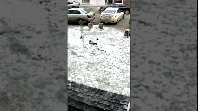 Немного двинул и скрылся с места аварии