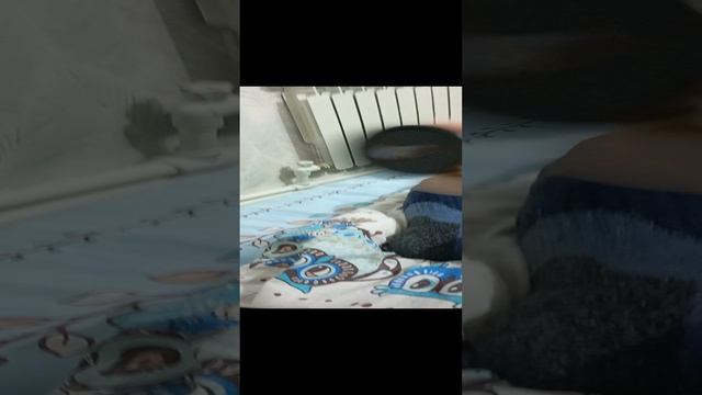 1000011409.mp4