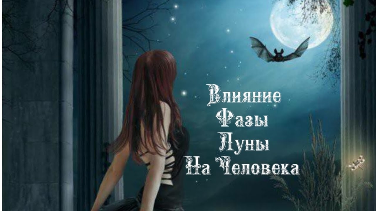 Влияние Фазы Луны на человека 3️⃣0️⃣ ноября 2️⃣0️⃣2️⃣4️⃣ 🌒🌓🌔🌕🌖🌗🌘🌙🌛🌜🌝