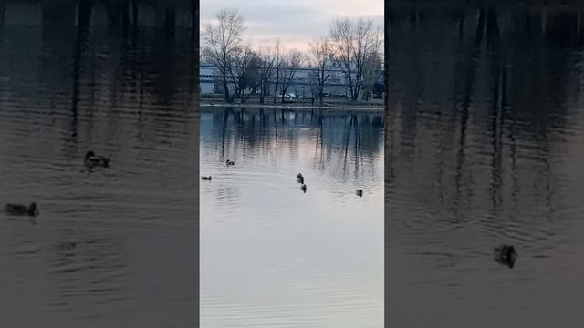 Ноябрь закончился💕