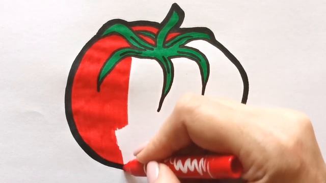 Как нарисовать ПОМИДОР / раскраска для детей / Нарисуй Ка