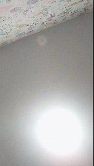 всё внимание завтра будетпрямой эфир