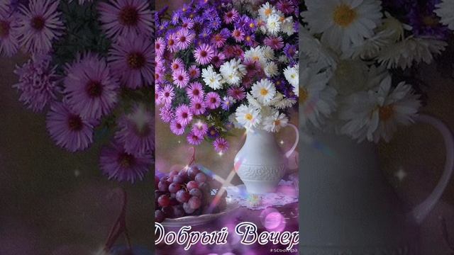 Прекрасного вечера💜 Пусть вечер подарит много позитивных эмоций🌌