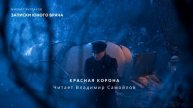 Михаил Булгаков - КРАСНАЯ КОРОНА(Ч.8) Русская классика #аудиокнигаслушать #русскаяклассика