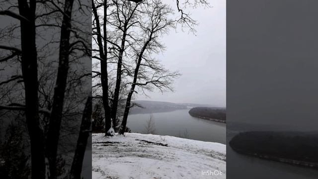 30-11-2024 вечерняя прогулка по лесу....