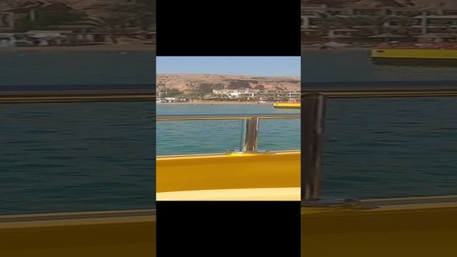 шарм эль шейх 2024