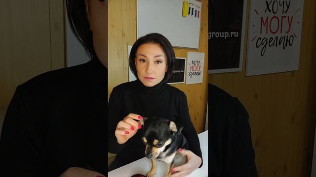 Отказ от алиментов на стадии исполнения у приставов.