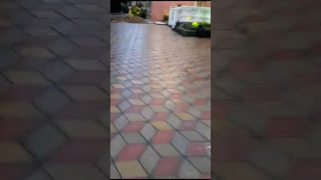1000074375.mp4