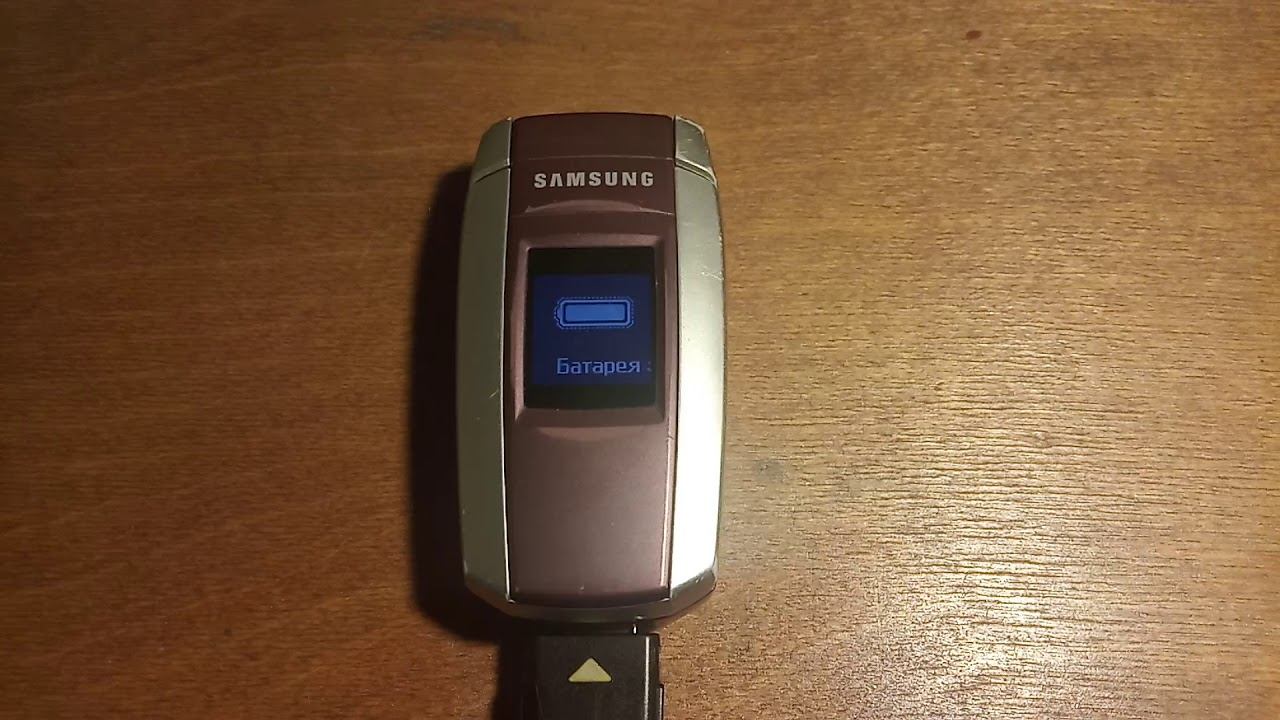 Samsung SGH-X300 Батарея заряжена / Fully charged