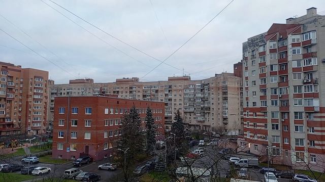 30.11.2024 . Погода Петербург . 10:17 . +3° . Последний день осени.