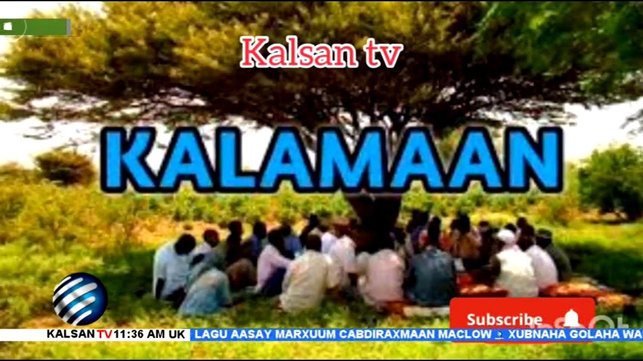 Wararka Telefishinka Kalsan TV Tabin: Aways Foodey 22-02-2024.