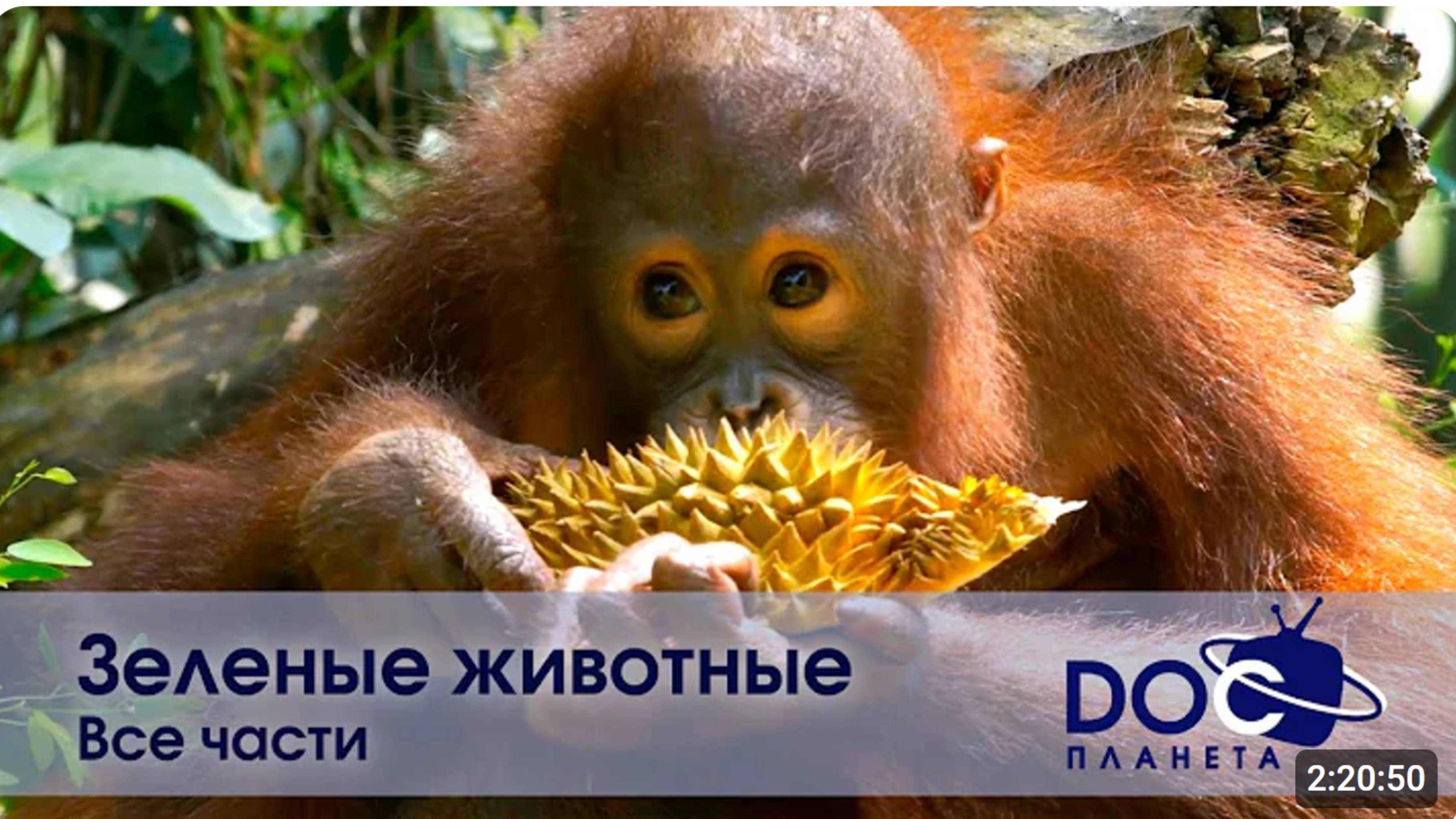 Зеленые животные. Все части