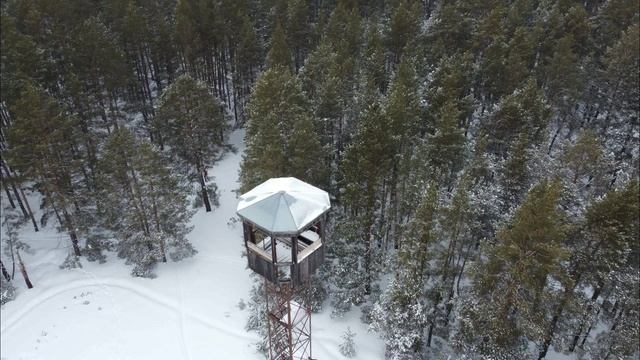 Пожарно-наблюдательские вышки.