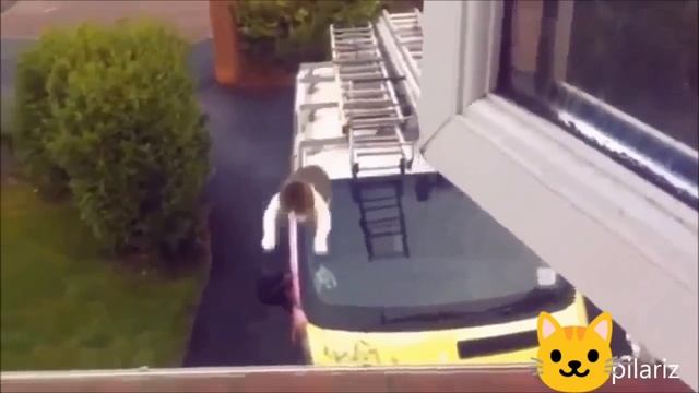 Сборник видео . Смешные котики .