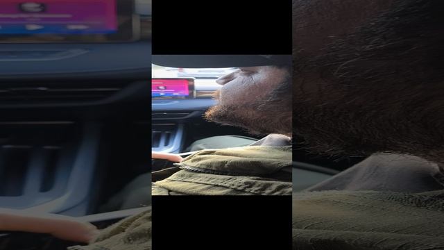 дождь 
