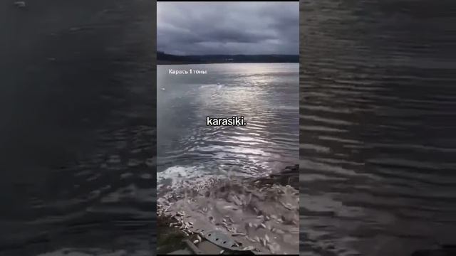 KARASIKI