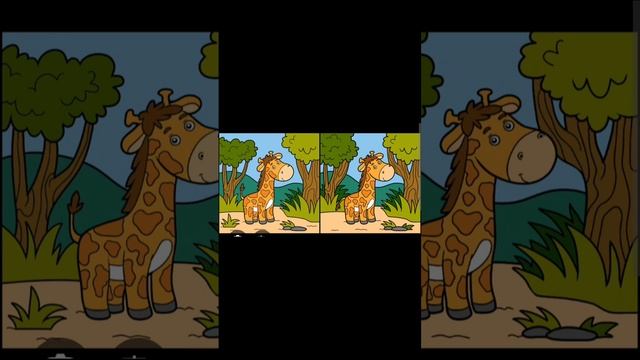 scene_output.mp4