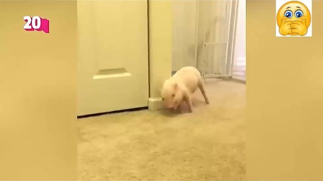 Всячинки