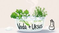 Если зелень увяла
