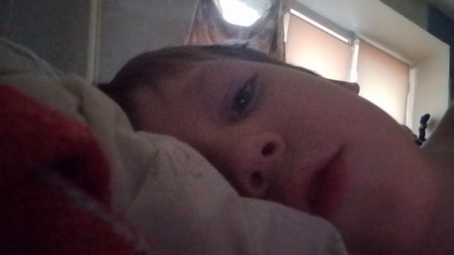 VID_20241130_153034.mp4
