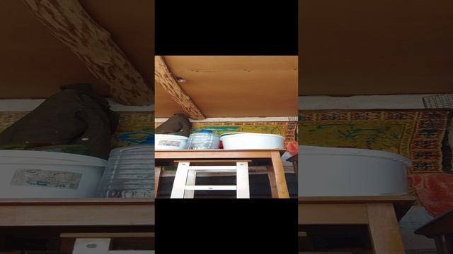 день с Полиной