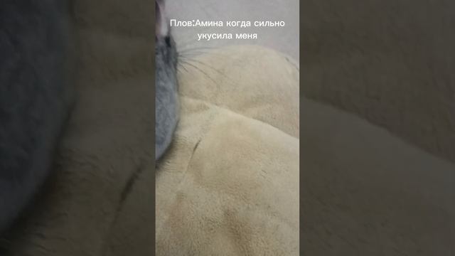 Хахаха