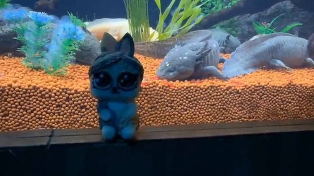 24 ЧАСА В ОКЕАНАРИУМЕ ! КТО НАЙДЁТ САМУЮ БОЛЬШУЮ КОТ МАЛЫШ И МУРКА ПРОТИВ КОТЯТ ЮГИ И ЯНИ