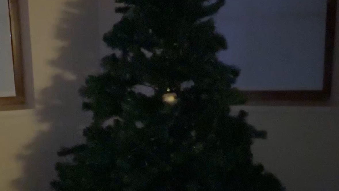 Merry Christmas🎄