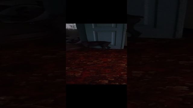 1000005452.mp4