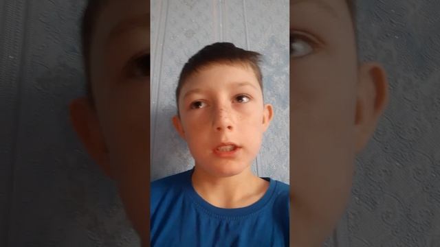 медведь 2026