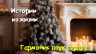 Удивительные истории из жизни - Гармония двух сердец...