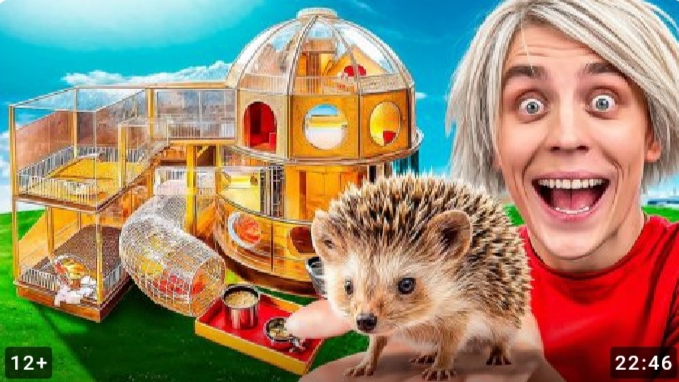 Построили ДОМ МЕЧТЫ ЗА 100.000 доларов для ЕЖА! *Новый участник команды А4*