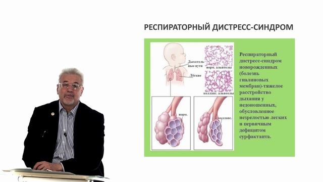 Евсеев А.В. Нормальная физиология. Лекция №21. Внешнее дыхание. Сурфактант. Лёгочные объёмы. 2024