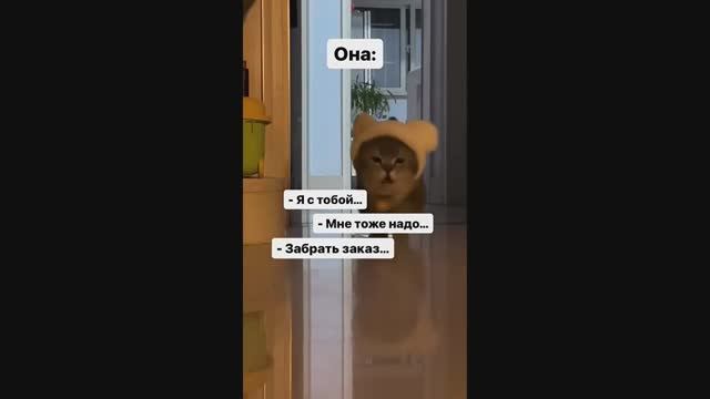 Это база да девочки？😌 #рекомендации #юмор #прикол #весело #смешное видео