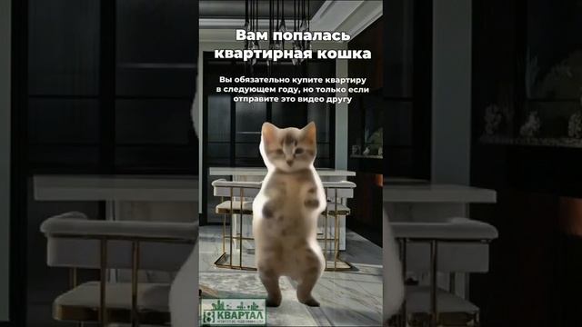 Мечты о новом доме? Реальность ближе, чем вы думаете! 🏠✨
