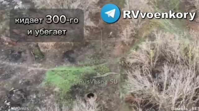 🔥🇷🇺Бои под Купянском:Разведка уничтожает пехоту ВСУ в Харьковской области !!!