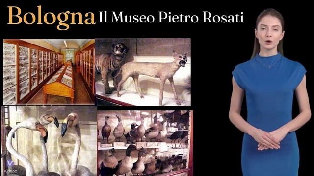 Il Museo Pietro Rosati a Bologna