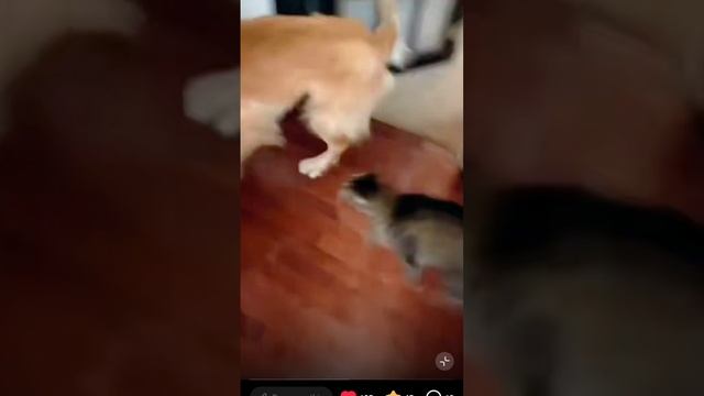 кто в доме хозяин