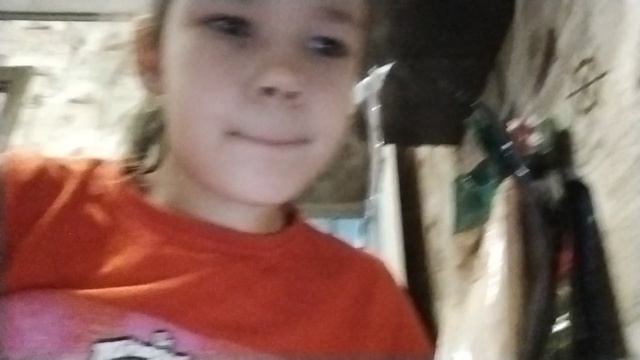 VID_20241130_191317.mp4