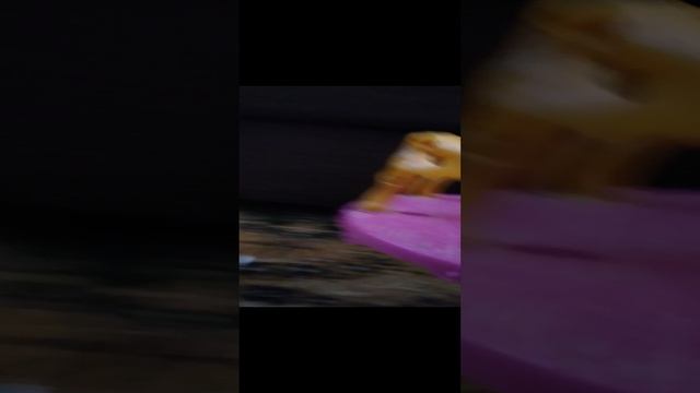 1 часть : нас приглосили на дискотеку 🥳🥳🥳