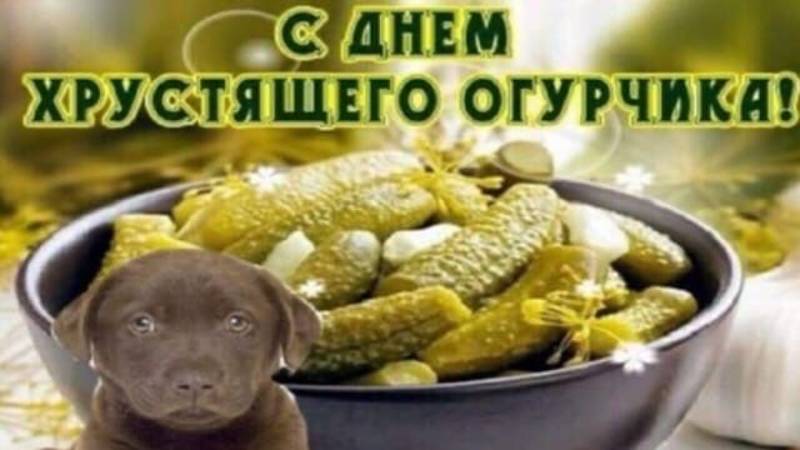 более важное поздравление