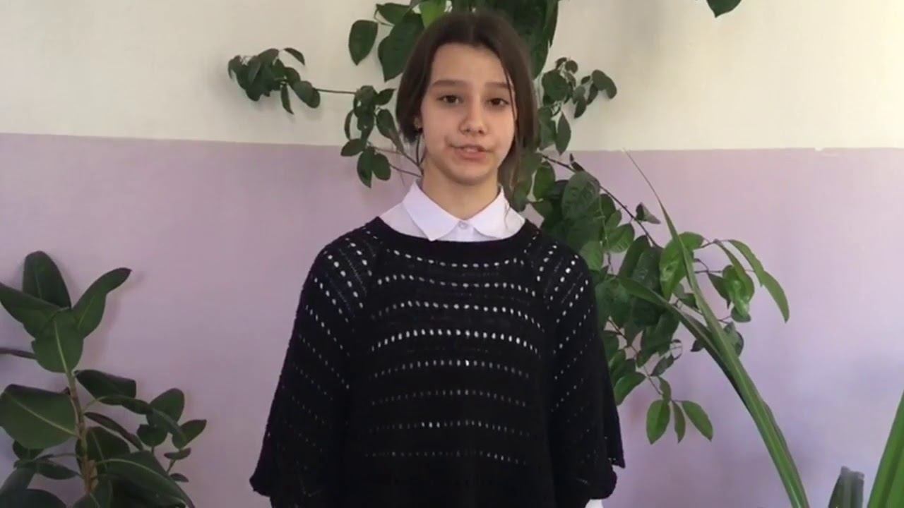 МБОУ СОШ №5 Монолит TV 6 'Е'