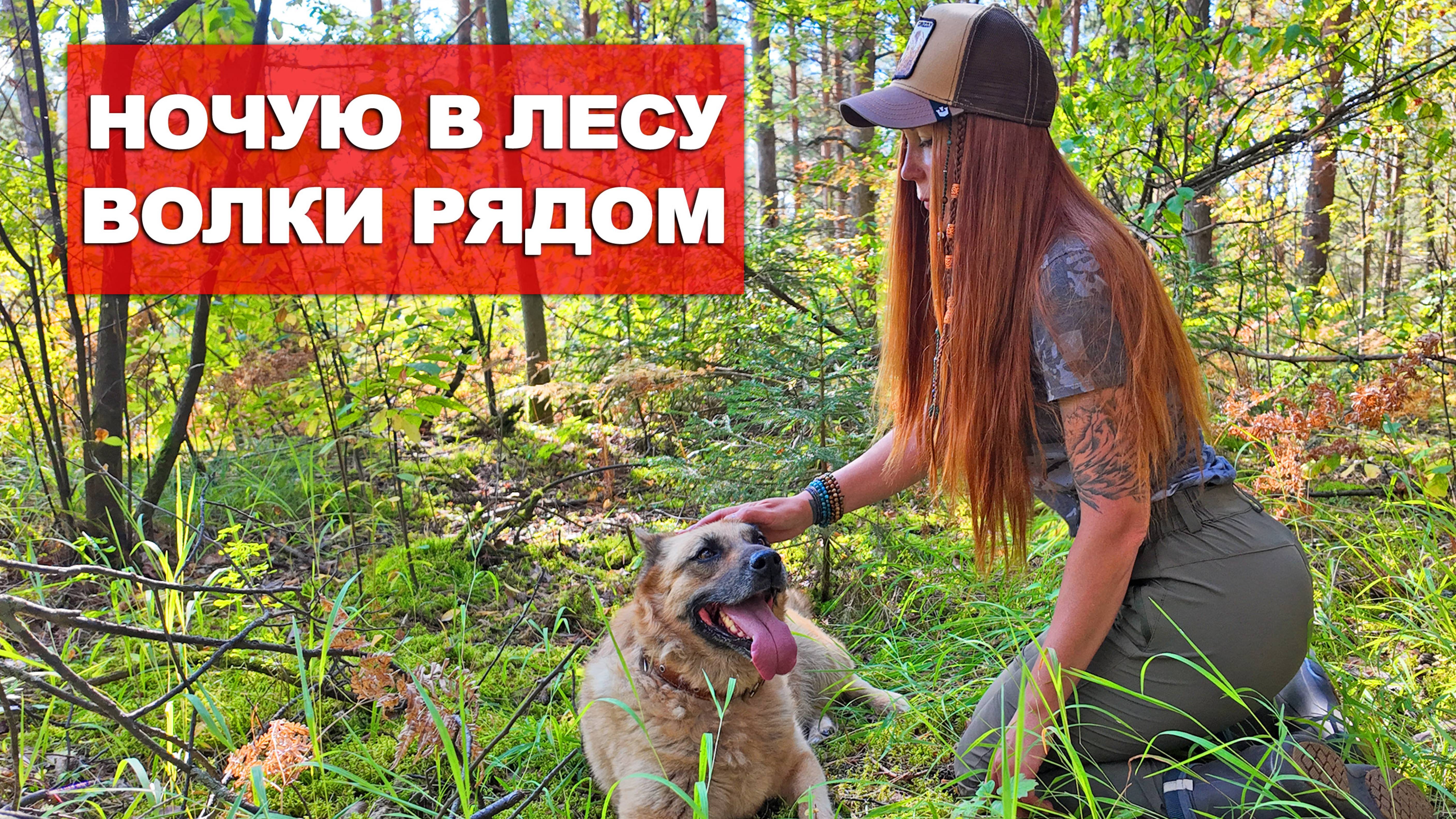 ОДНА В ПОХОДЕ. ВОЛКИ РЯДОМ